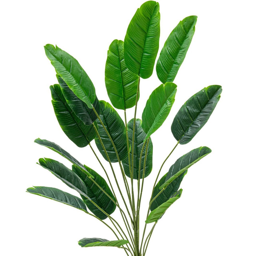 Simulación de plantas de plantación de hojas verdes de banana del norte de Europa plantación de árboles falsos paisajísticos transfronterizos