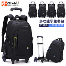 �羳��ͯ���U����С�W���������꼉���ЌW���������������䱳��