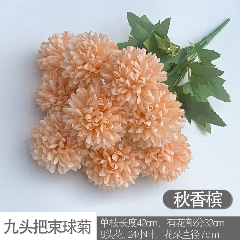 Nine -headed ball chrysanthemum autumn champagne