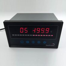 XSL8-RT16巡检仪上海上润仪表