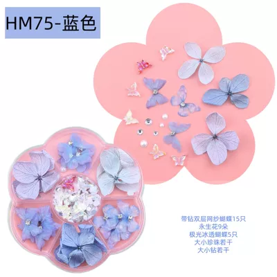 Dırnaq bəzəkləri Facial Butterfly Decoration Stage Makeup - hm75-blue-7-grid-plum-box-83cm