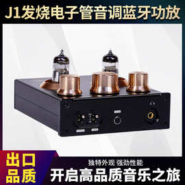 J1电子管合并TPA3116蓝牙数字功放机（50W+50W）前级合并功放