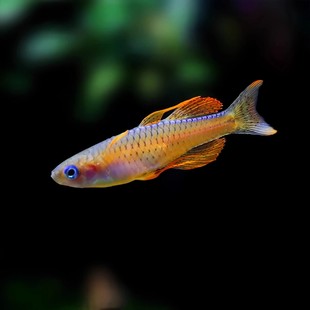 �ټt�����~�^�p�~���wС���~Ⱥ���~�ݸ׳�ɫ�����������ӱ��ط�ֳ