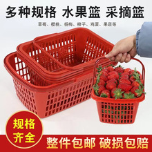草莓采摘篮子批发提篮提筐塑料龙眼商用樱桃草莓篮子采摘采摘篮
