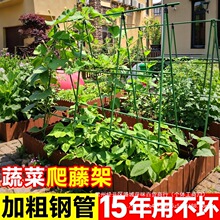 �N�˼��Ӷ����S�����ټ�ͥԺ�߲˼ܻ��@���ӈ@ˇ��֧�ܑ���������