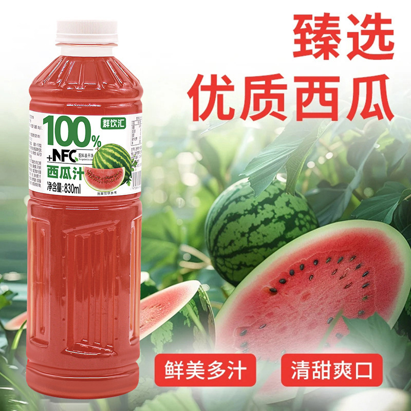 群饮汇100%西瓜汁NFC+大容量饮料清爽夏日饮品新日期830ml*2瓶装|undefined