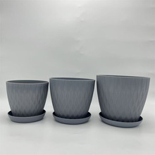 ��������ֲ�ﻨ�莧�бP�����̨�҃��辰�A�ηNֲ����С��