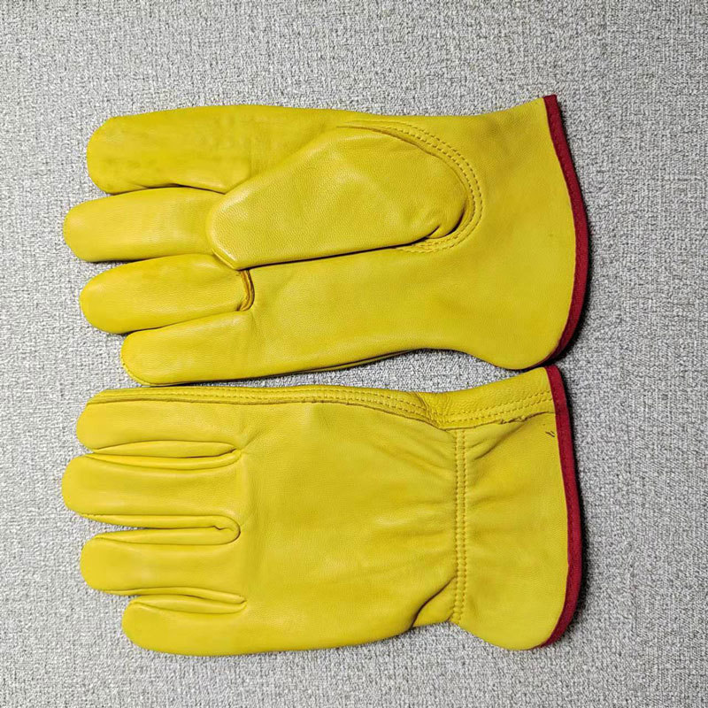 2022�ļ�ͨ�ú����ͱ�ţƤ���׽���������ҵ��ʿ������������