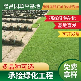 草坪;灌木;乔木