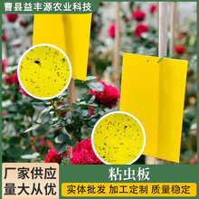 ճ�x�� 2025�¿��r�I�E�R�@�ֲ��x�N�p���T�x�S��մ�x��F؛���l