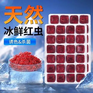 Freshly Frozen Red Worms for Goldfish, Arowanas, Ornamental Fish, Tropical Fish, Cold Water Fish Feed, Brine Shrimp, Beef Heart Burger