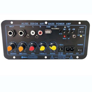 D20 power amplifier board K Song Car Subwoofer Bluetooth outdoor audio high power amplifier board Speaker motherboard
