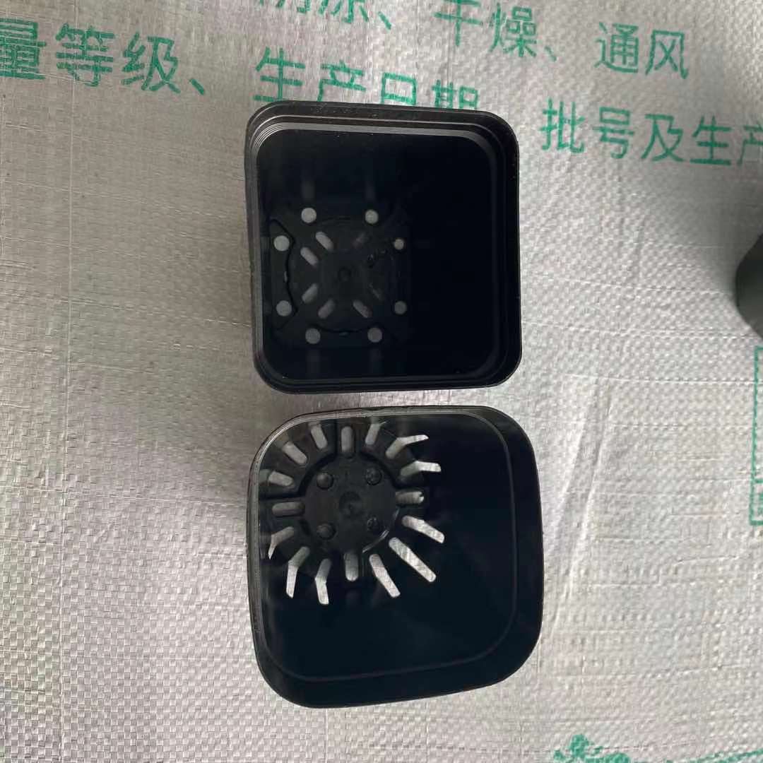 ΢��ͼƬ_202108021606088