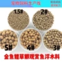 自动dl651狗粮生产线