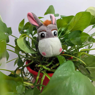 ë�q���耳׿ۿ�ͨվ��Сë�H���^�H��܇����С�����ż���l