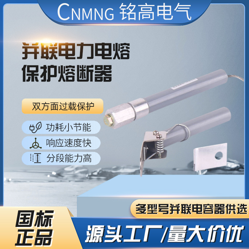 并联电容器单台保护用高压熔断器BRW(BRN BR2)-7.2KV(10KV)/118P