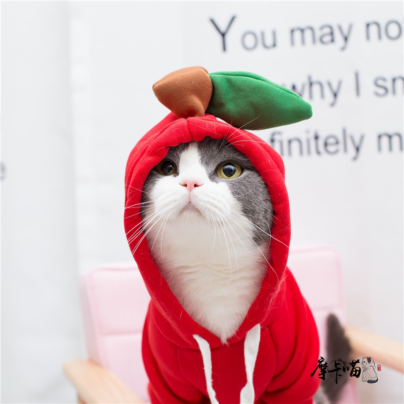 Fruit Transformation Cat Clothes Dog Pet Clothing Teddy Winter…