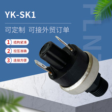 无压差壁挂炉、热水器、医疗康养设备 YK-SK1 水压开关
