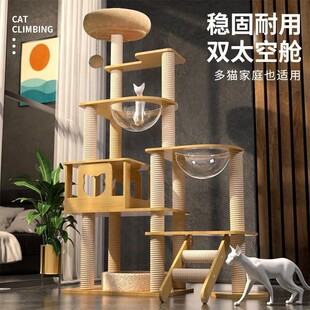 ؈����؈�C؈��һ�w؈ץ��؈�����Ӳ�ռ��̫��œ؈��̨؈��.