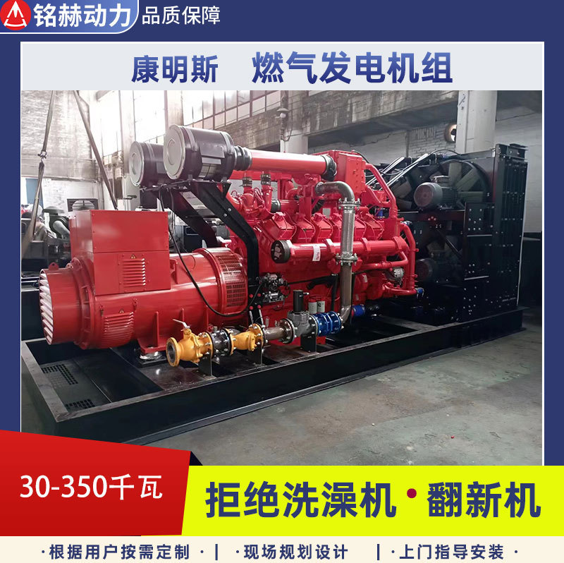 30KW-350千瓦燃气发电机组 200KW千瓦沼气 煤层气 工业废气发电|undefined