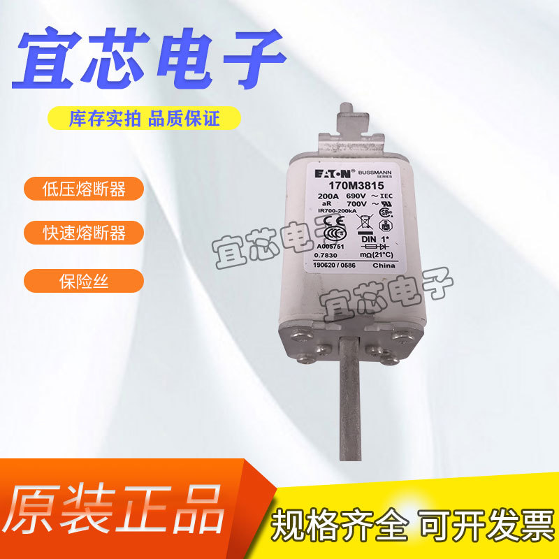 BUSSMANN巴斯曼快速熔断器/保险丝/断路器170M3815  170M3819电容
