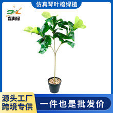 ����Gֲ3�����~������ֲ�� �W�tins�҃ȿ͏d�Gֲ�٘��b� ���~��