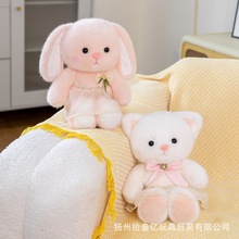 �ɐۻ�ȹ��؈������ë�q���������ż�b[����ͨë�q�����޶Y��