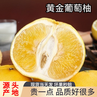 ���S�����������rժˮ�������S�����������������䵩�����