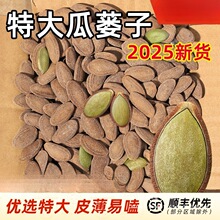 2025��؛�ش���V������ԭ��ζ�ǵ����Ӱ����خa���V��