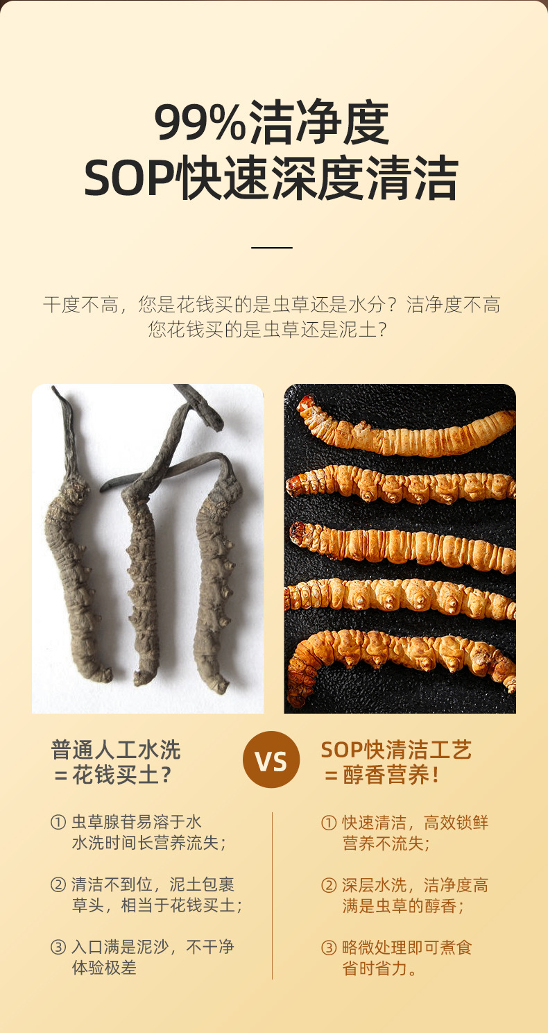 Dried Cordyceps Broken Stems 20g Jar Chinese Herbal Cordyceps sinensis for Cooking specifications