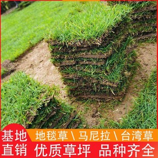 ��Ƥ������ƺ����R�����Gɫ��ƺ�؉|˽�ˎ������ߠ����ґ���䁉|