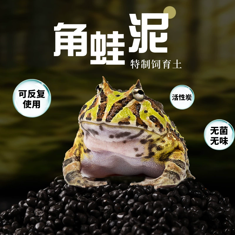 Рогатая Лягушка Грязь Рогатая Лягушка Коврик Материал Рогатая Лягушка Основной Материал Земноводная Лягушка Грязь Активированный Уголь Рептилия Коврик Материал Лягушка Коврик Материал Не Смягчение