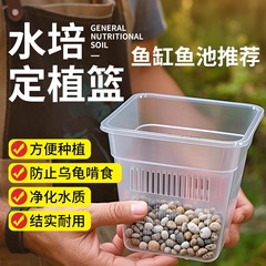 兰花盆栽方盆加厚透气塑料花盆控根盆蝴蝶兰定植篮洋兰绿萝水培篮