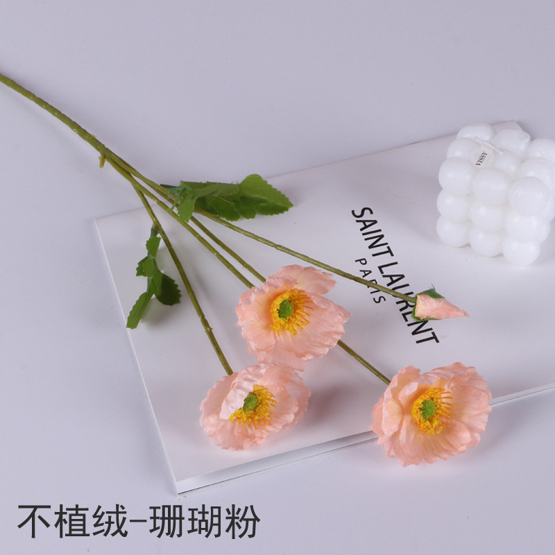 산호 가루-몰려 들지 않음