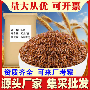 �t��50��/���t�������׏S�����l��ȴּZ�����ʹ�����ìF؛c