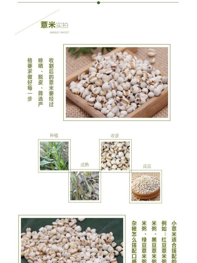 Coix Seed and Adzuki Bean Combo 500g Sulfur-Free Yi Yi Ren Chi Xiao Dou for Congee and Soup Daily Wellness Grain Set specifications