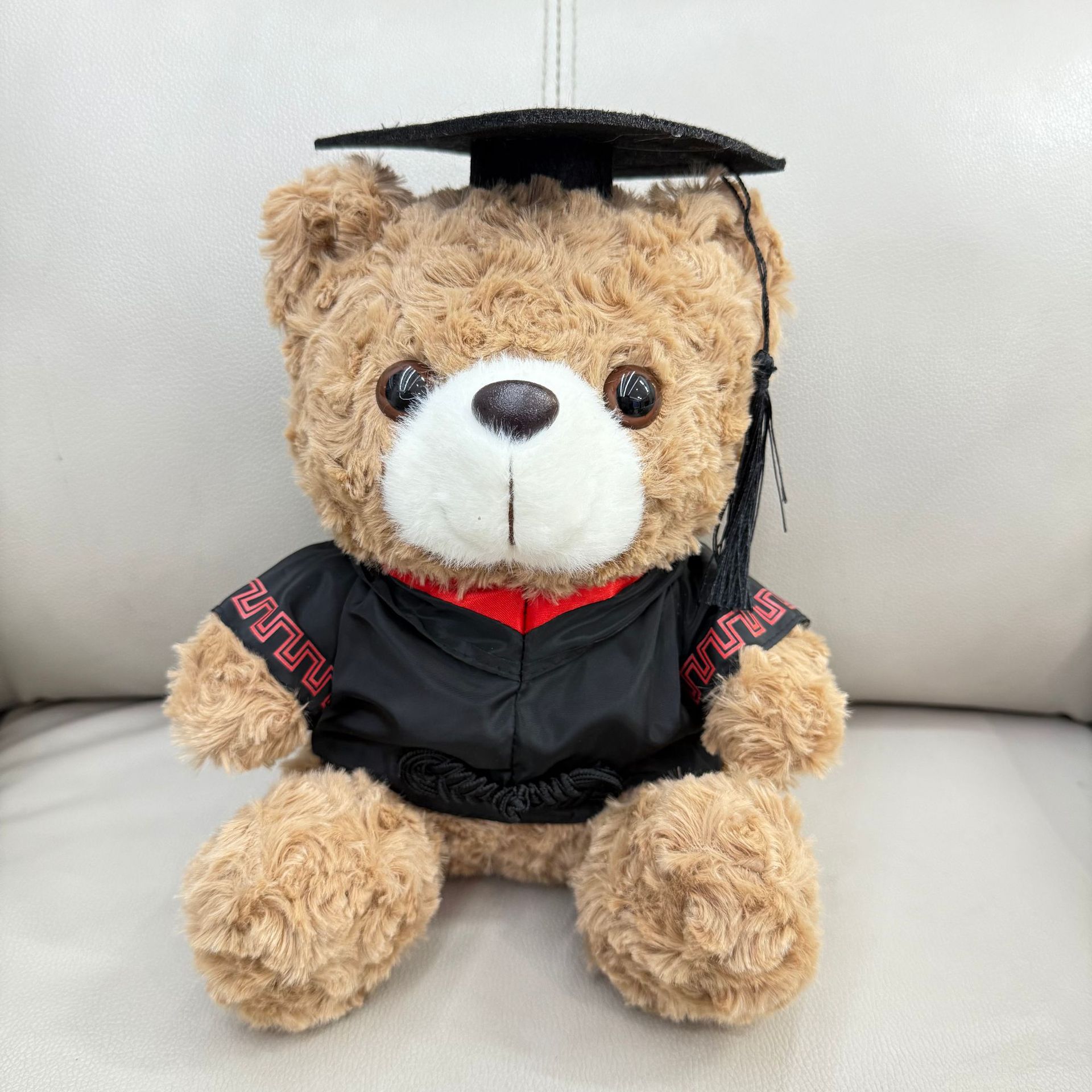 Graduación Teddy Bear Puppy Doctor Teddy Bear School Print logotipo regalo de graduación