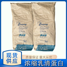 乳清蛋白粉 新西蘭食品劑 熱穩濃縮乳清蛋白  wpc80 wpi90 35含量
