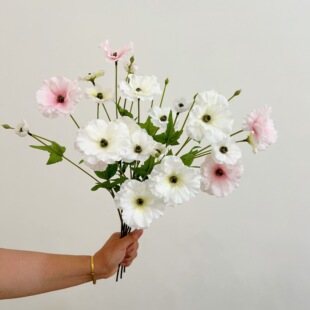 ������ĵ�����滨�ձ�����ˇ�쾰��Y�b����g��ꐔ[�ŔzӰ����