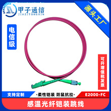 ģоМعw|E2000-FCzbSֱNǧ