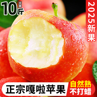 ���r�����O��10�����ˮ��������t��ʿ������ǳ�ƽ��������]