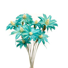 宝石兰 宝石兰品牌 图片 价格 宝石兰批发 阿里巴巴