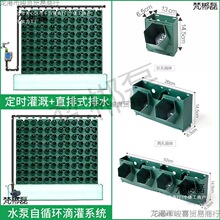 ֲ��Nֲ���{��@���̨��ֱ�G������ֲ��Ǡ��ڻ�����䳲����