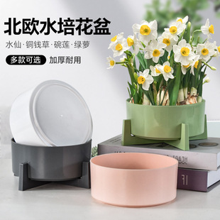 �¿�ˮ���豱�W�L�´ɴ�̖�~�X����ɏ�N�ӾG�}ˮ�ɻ�ֲ���֬����