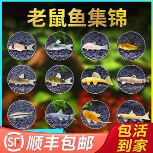 �����~�坍�~���B���R�~��ȸ�~�����~�Ꭷ�~�^�p�~��ˮ���B����