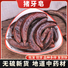 批发现货猪牙皂大小皂角皂荚中药材大全洗头水原料大货供应