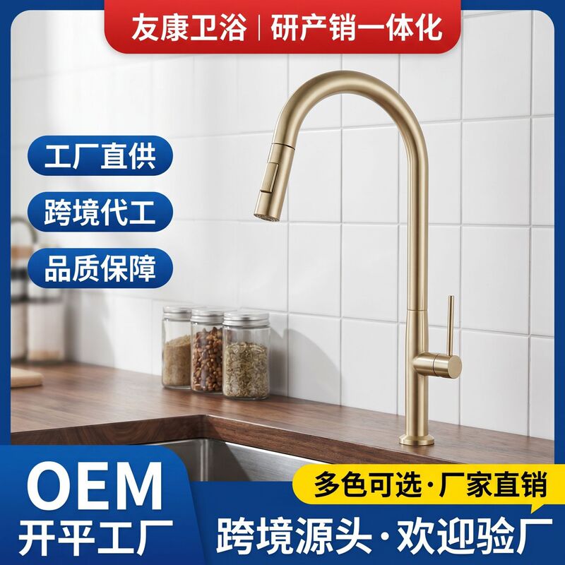 304 Stainless Steel Kitchen Pull-Out Faucet, Hot and Cold Water Sink with Swan Neck, Dual Water Outlet Modes 304 Stainless Steel Kitchen Pull-Out Faucet, Hot and Cold Water Sink with Swan Neck, Dual Water Outlet Modes