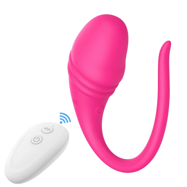 Rura simulation remote control rose red bag