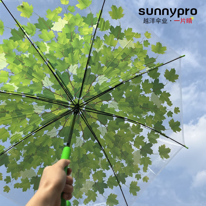 Transparent automatic umbrella for students