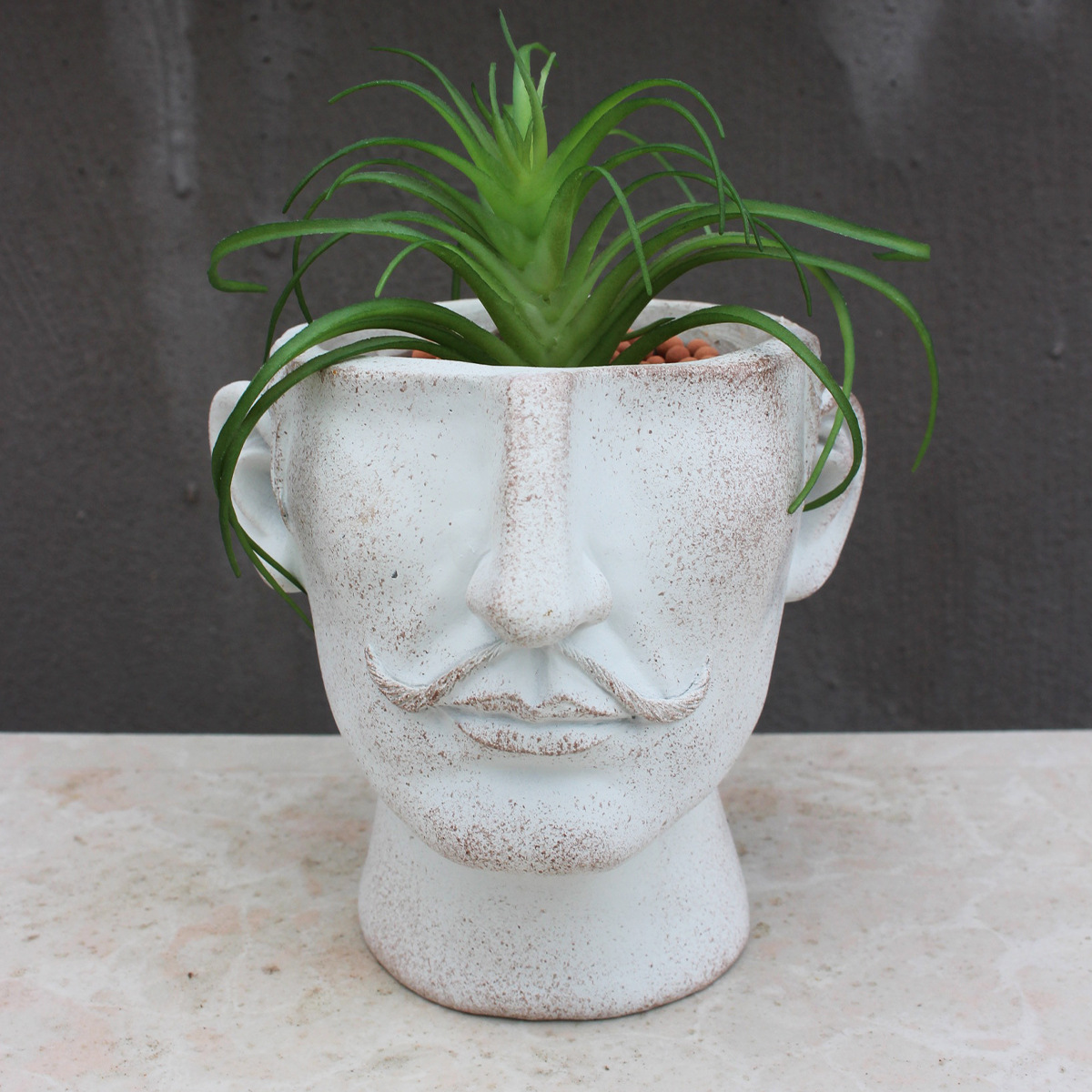 Creative portrait flowerpot resin flowerpot personality celebrity image decoration human head crafts green plant bouquet flower arranging device